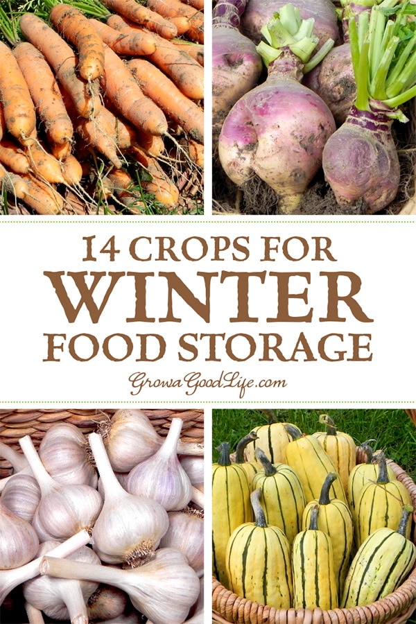 14 Crops for Winter Food Storage: If you have an area in your basement, crawlspace, or garage that stays cool all winter long, you can make use of these cold spots to keep storage crops fresh well into winter.