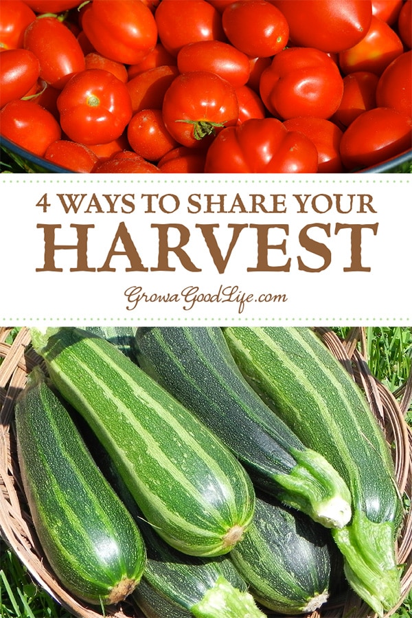 What do you do with a bumper crop? Here are some ways to share the garden harvest bounty instead of tossing the extras into the compost bin.