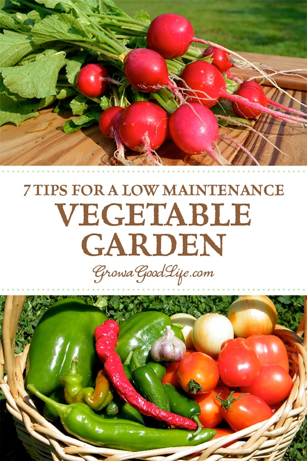 Do you want to grow your own food, but worry that you don’t have time to tend to a garden? These tips will help you plan a low-maintenance vegetable garden that will reward you with fresh food throughout the garden season.