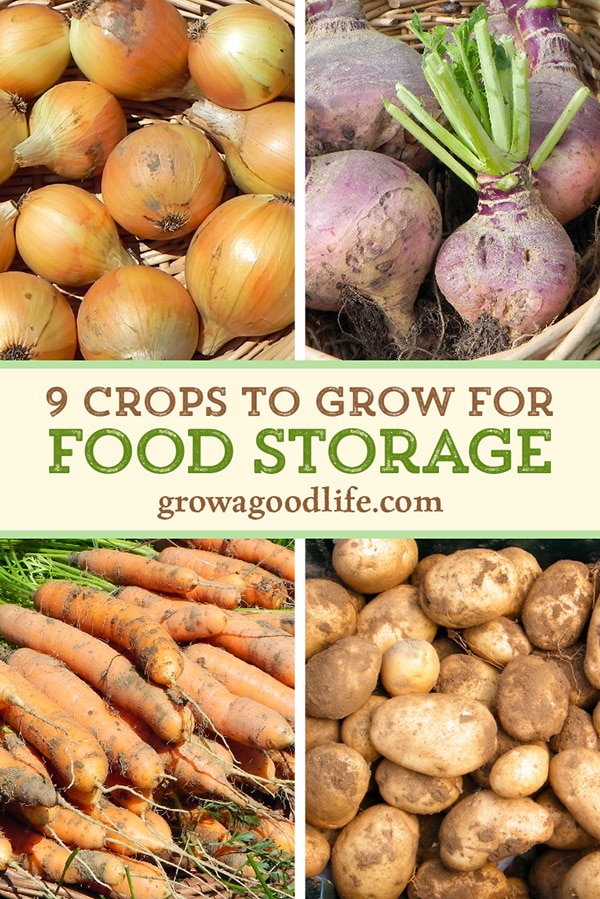 collage image of onions, turnip, carrots, and potatoes for food storage