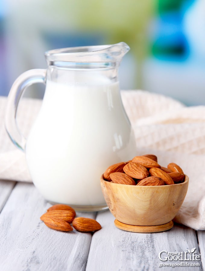 almond milk in a glass pitcher on a table