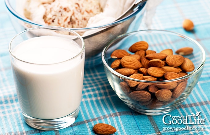 a bowl of almonds next to a glass of almond milk