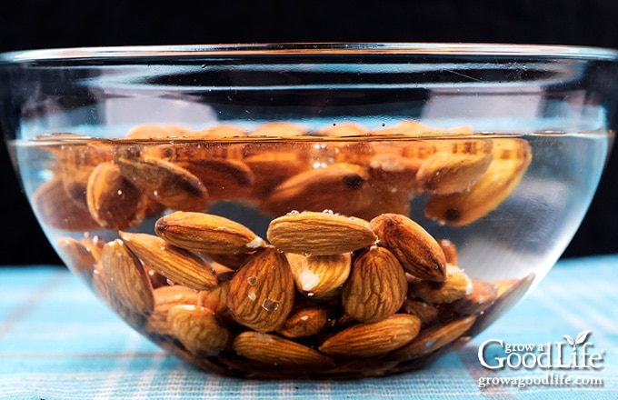 almonds in a bowl of water