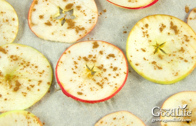 sliced apples sprinkled with cinnamon