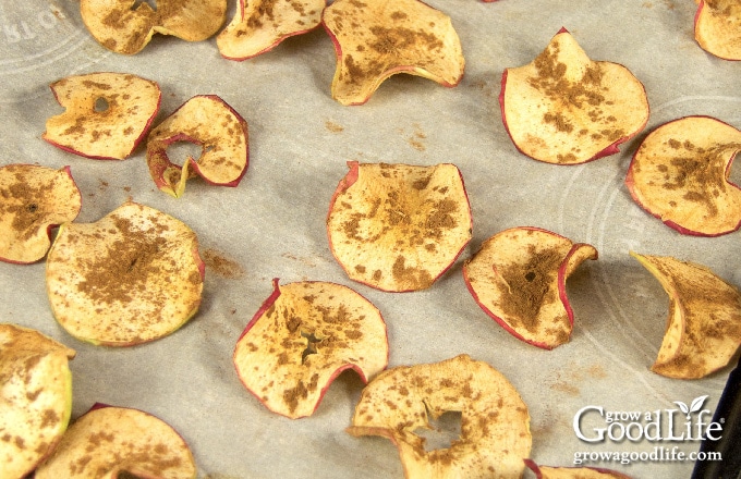 apple chips on a baking sheet