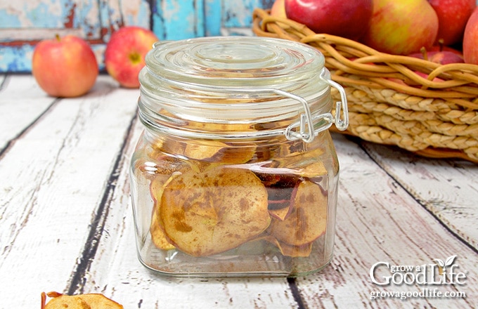 baked apple chips stored in a jar