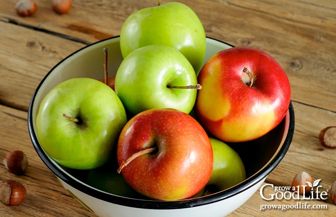 red and green apples in a white bowl