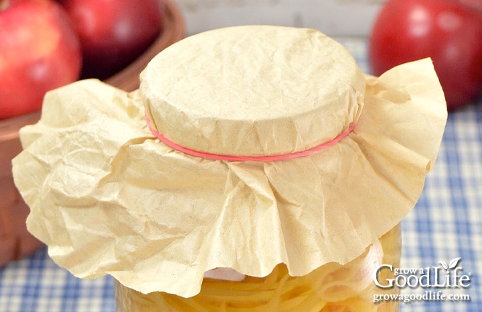 jar covered with a coffee filter and elastic band