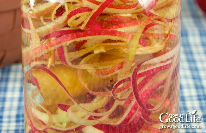 closeup of a jar filled with apple peels and cores