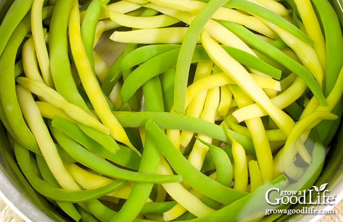 overhead closeup of green and yellow string beans in a pot