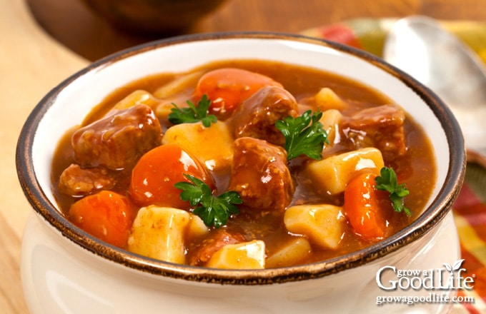 closeup overhead photo of beef stew in a white bowl