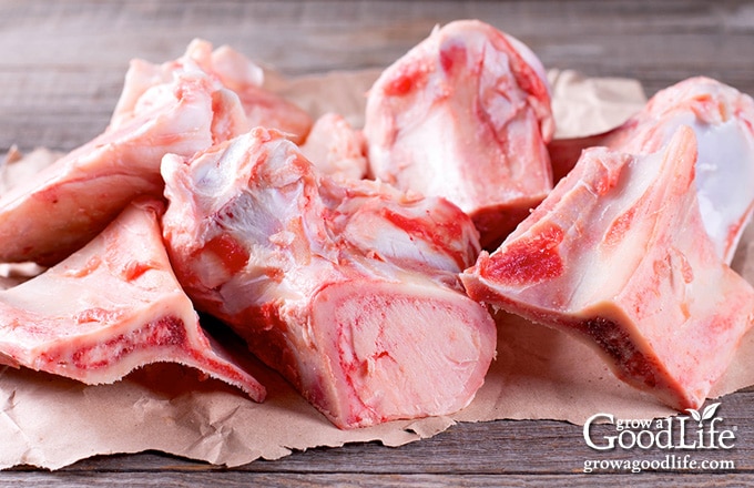 raw beef bones on a table