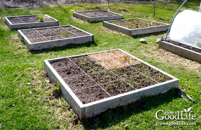 image of a square foot garden