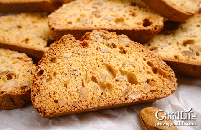 Close up image of a freshly baked biscotti.