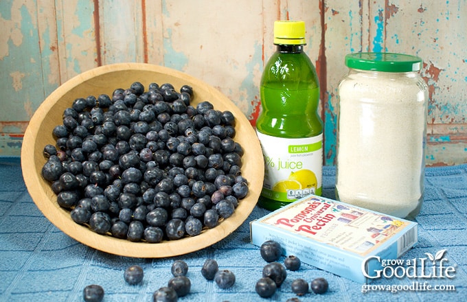 Ingredients for making blueberry jam