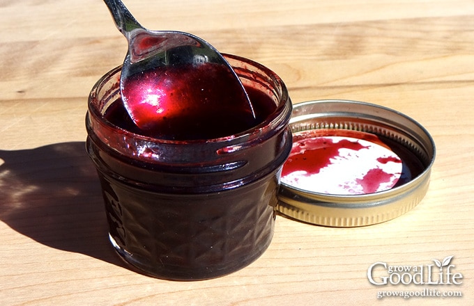 Close up of a spoon in a jar of blueberry syrup.