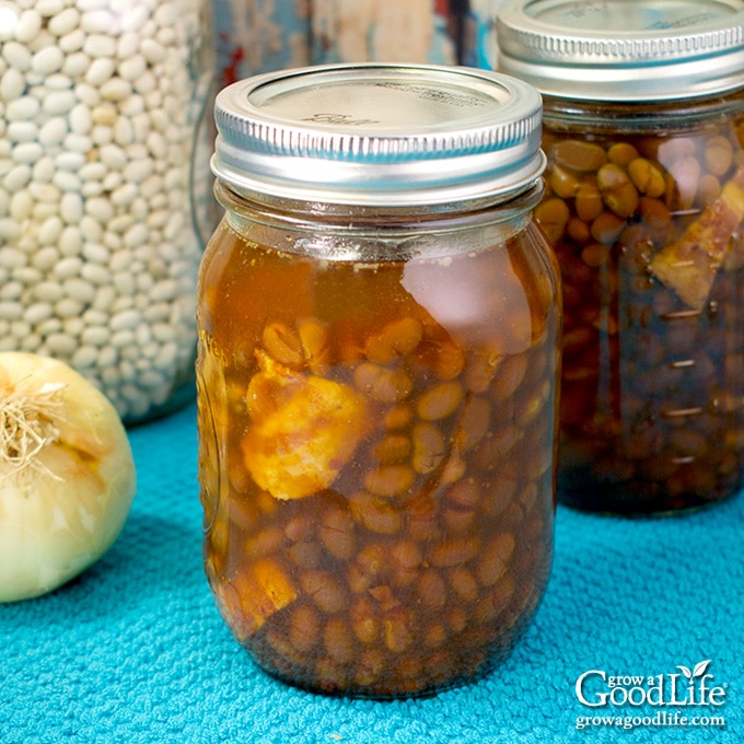 Two pint jars of home canned Boston baked beans on a table.