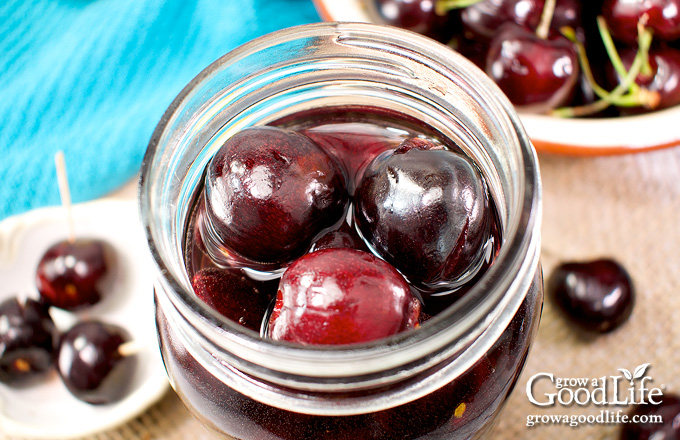 overhead photo of a jar of bourbon cherries