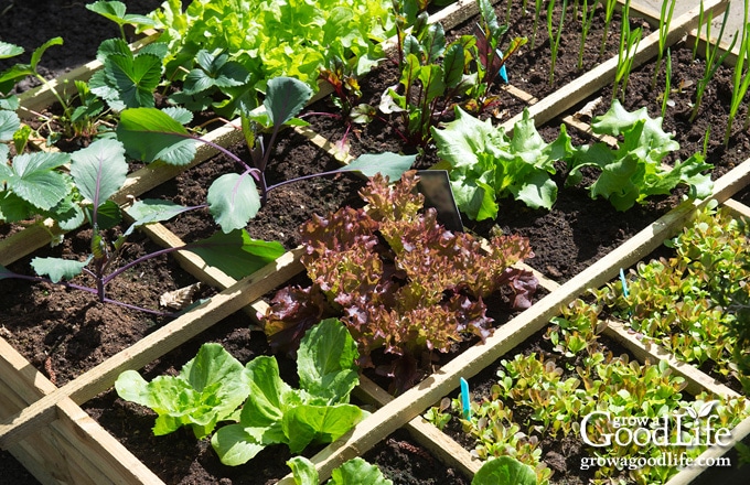 grids on a square foot garden