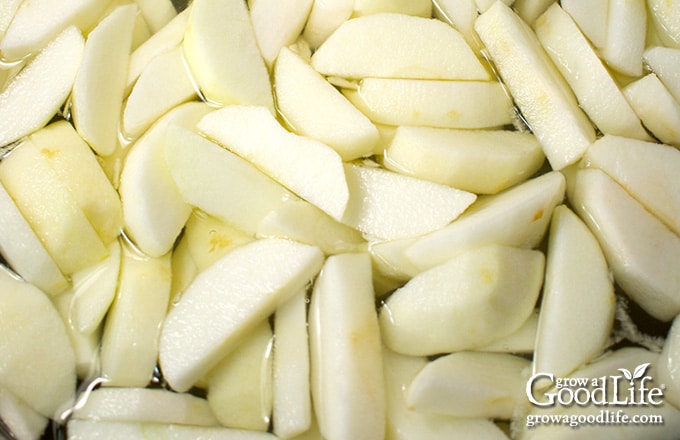 apple slices in lemon water bowl