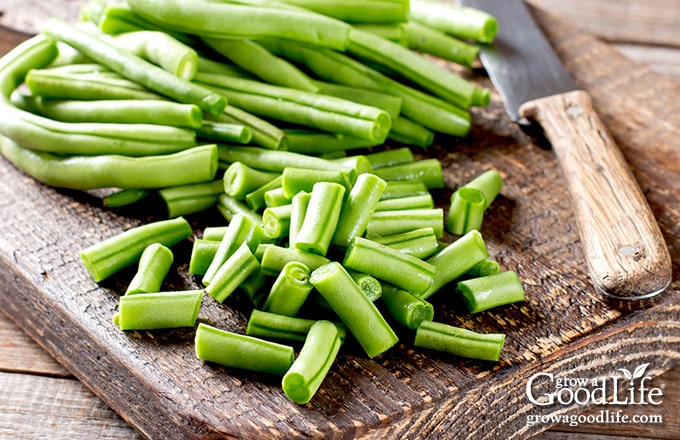 pile of cut string beans ready for canning