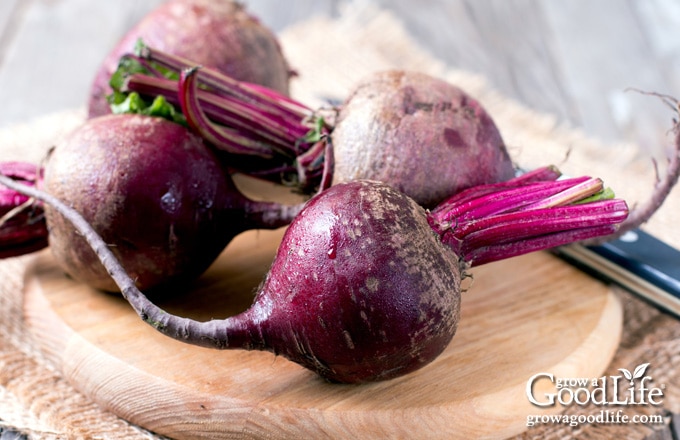 close up of beets on a cutting board