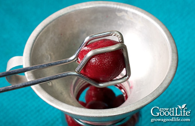 close up tongs adding peeled beets to a jar