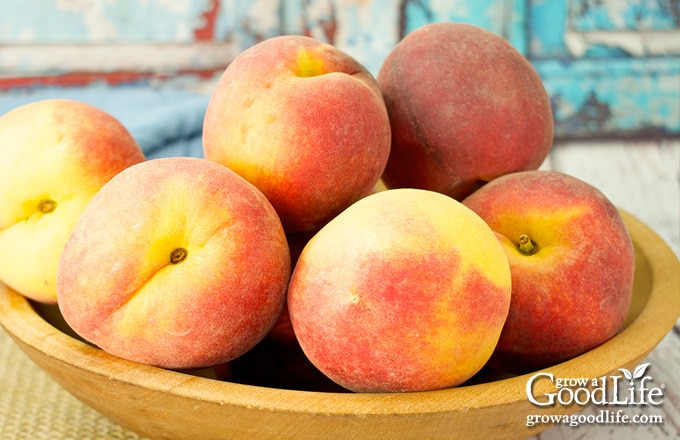 bowl of fresh peaches on a table