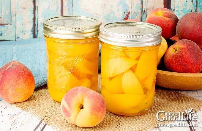 jars of home canned peaches on a table