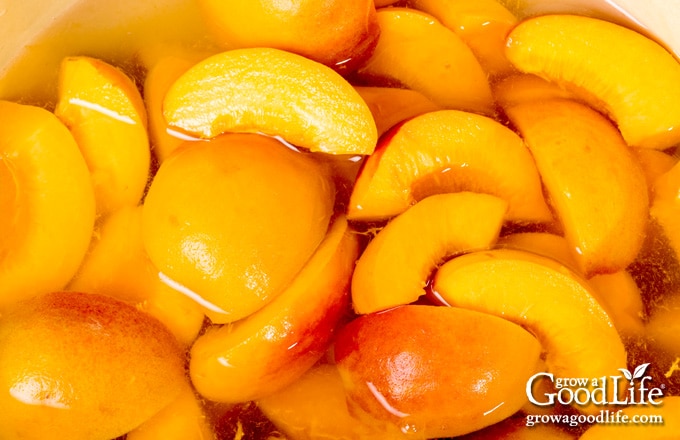 closeup of peach slices in canning syrup