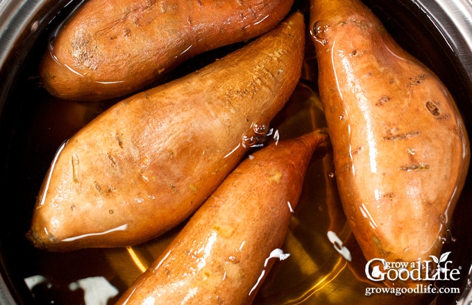 boiling sweet potatoes in a pot of water