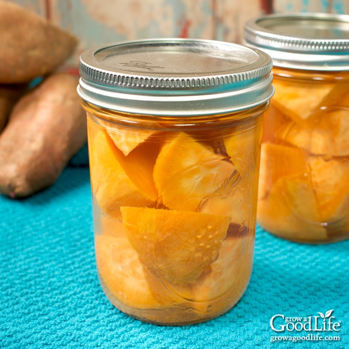 jars of home canned chunks of sweet potatoes on a table