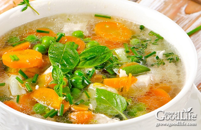 closeup of chicken soup in a white bowl