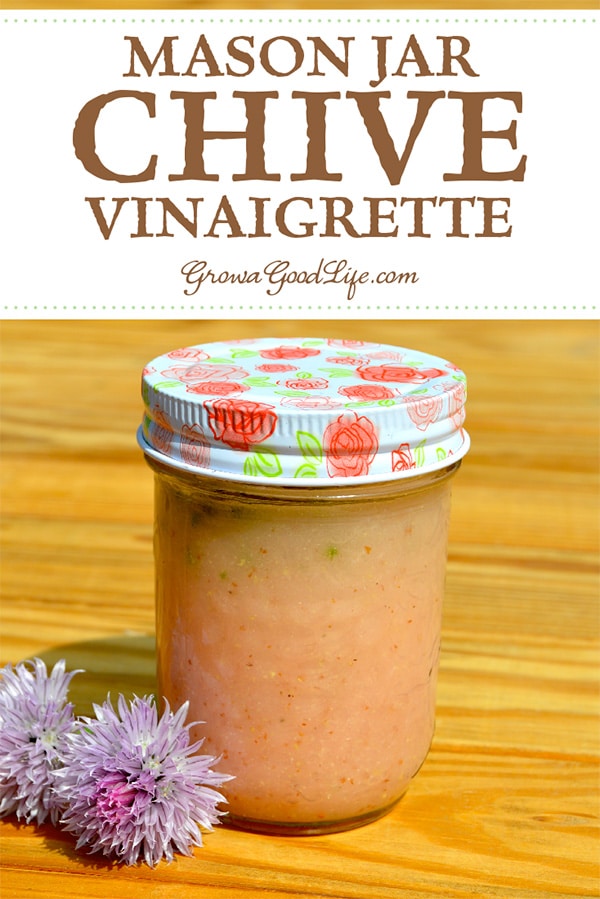 Fresh Chive Vinaigrette Recipe: This vinaigrette recipe uses chive blossom infused vinegar and fresh chives for an extra boost of flavor for your favorite salads. Visit for the full recipe.