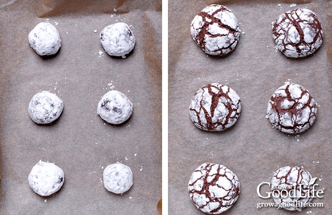 baking sheet with before and after baking cookies