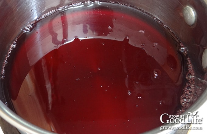 chokecherry juice in a pot