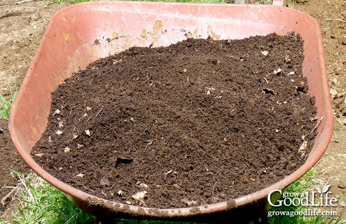 Compost in a wheelbarrow ready to spread in the garden.