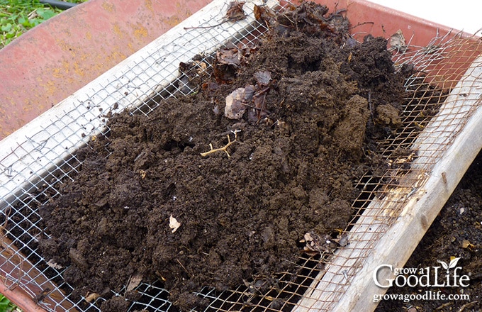 Screening finished compost into a wheelbarrow.