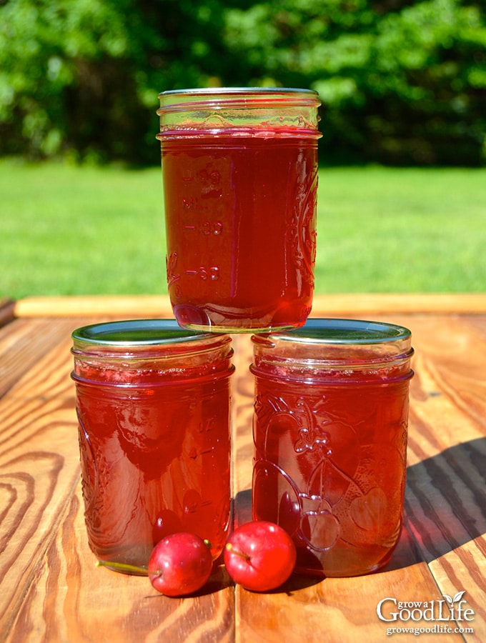 Transform the tart flavor of crabapples into a delicious homemade crabapple jelly. Crabapples have enough natural pectin so no additional pectin is needed for this crabapple jelly recipe.