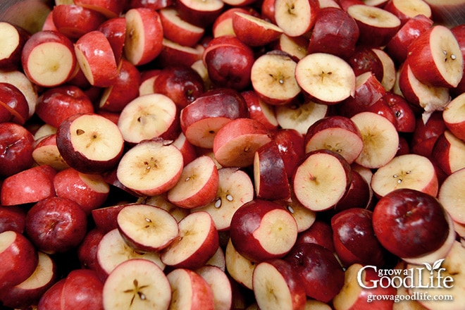 sliced crabapples in a large pot