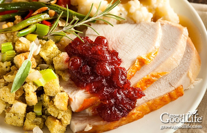 plate of Thanksgiving food with cranberry sauce