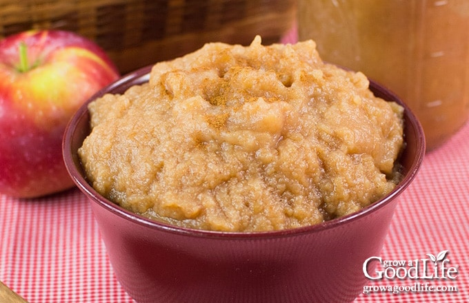 closeup of applesauce in a maroon bowl on a table