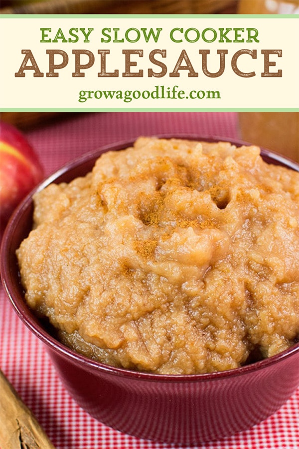 closeup of a bowl of homemade applesauce 