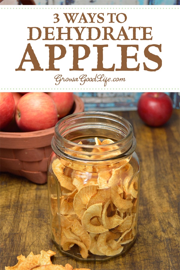 Drying apples is a great way to preserve fresh fall apples for food storage. Here are three ways to dehydrate apples, including air-drying, oven drying, and using a food dehydrator.