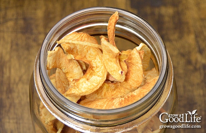 closeup of a jar of dehydrated apples