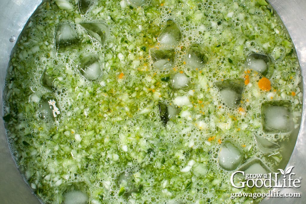 Soaking the chopped cucumbers in salted ice water.