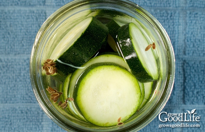 Over head view of jar filled with sliced zucchini and pickling brine.