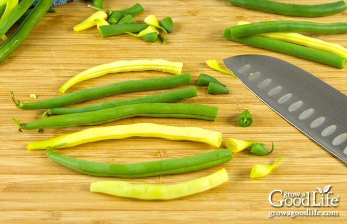 cutting beans to fit jars on a cutting board