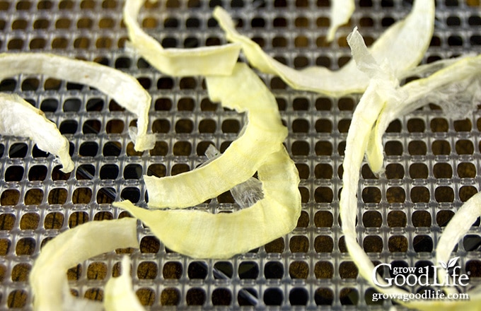 dried onion pieces on dehydrator tray