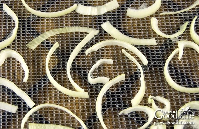 onion pieces on dehydrator trays